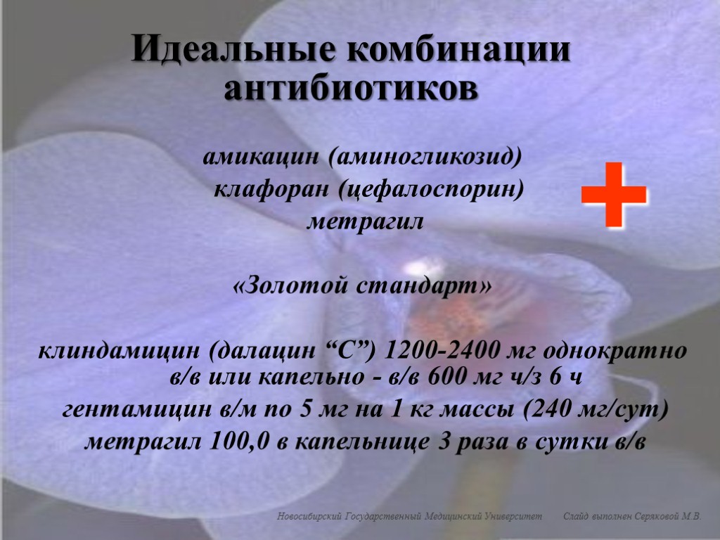 амикацин (аминогликозид) клафоран (цефалоспорин) метрагил «Золотой стандарт» клиндамицин (далацин “С”) 1200-2400 мг однократно в/в